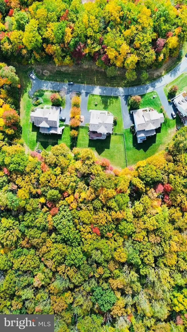 41640 Montacute Ln, Leesburg, VA 20176 - #3