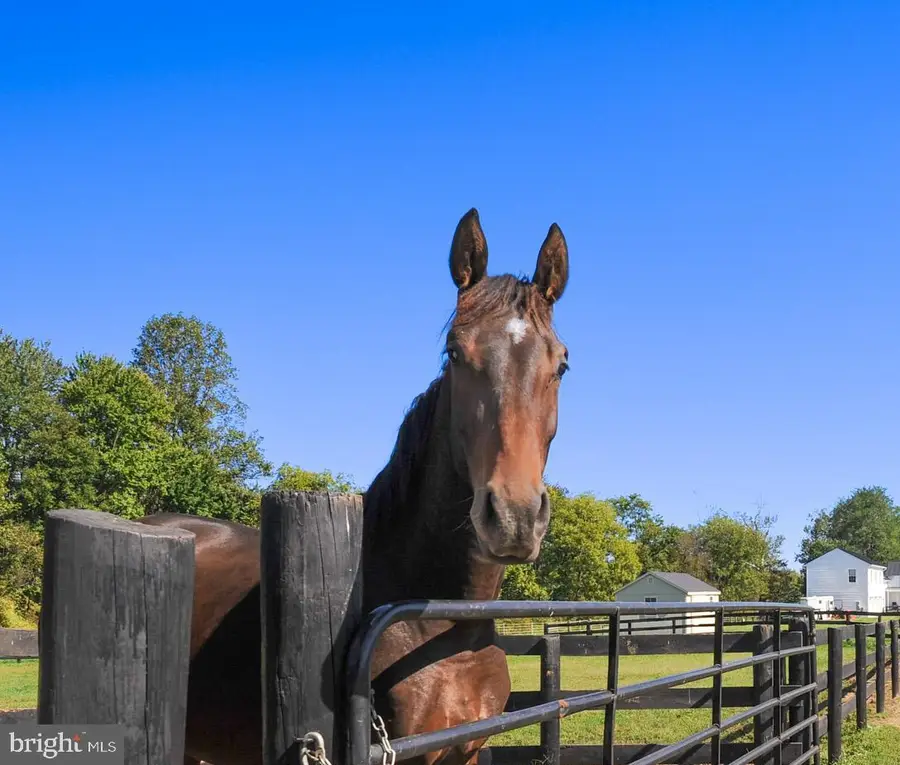 42046 Lamz Pl, Leesburg, VA 20176 - #2