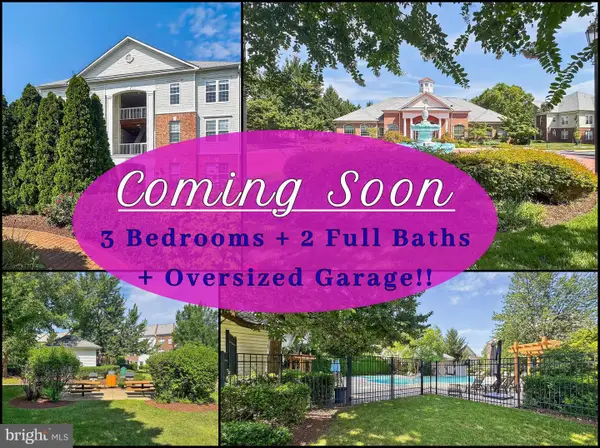 42480 Rockrose Sq #303, BRAMBLETON, VA 20148