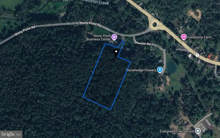 Stony Point Rd, Hillsboro, VA 20132 - #1