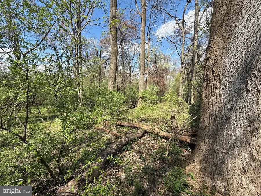 Philomont Rd, Purcellville, VA 20132 - #3