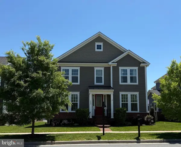 1007 Themis St Se, LEESBURG, VA 20175