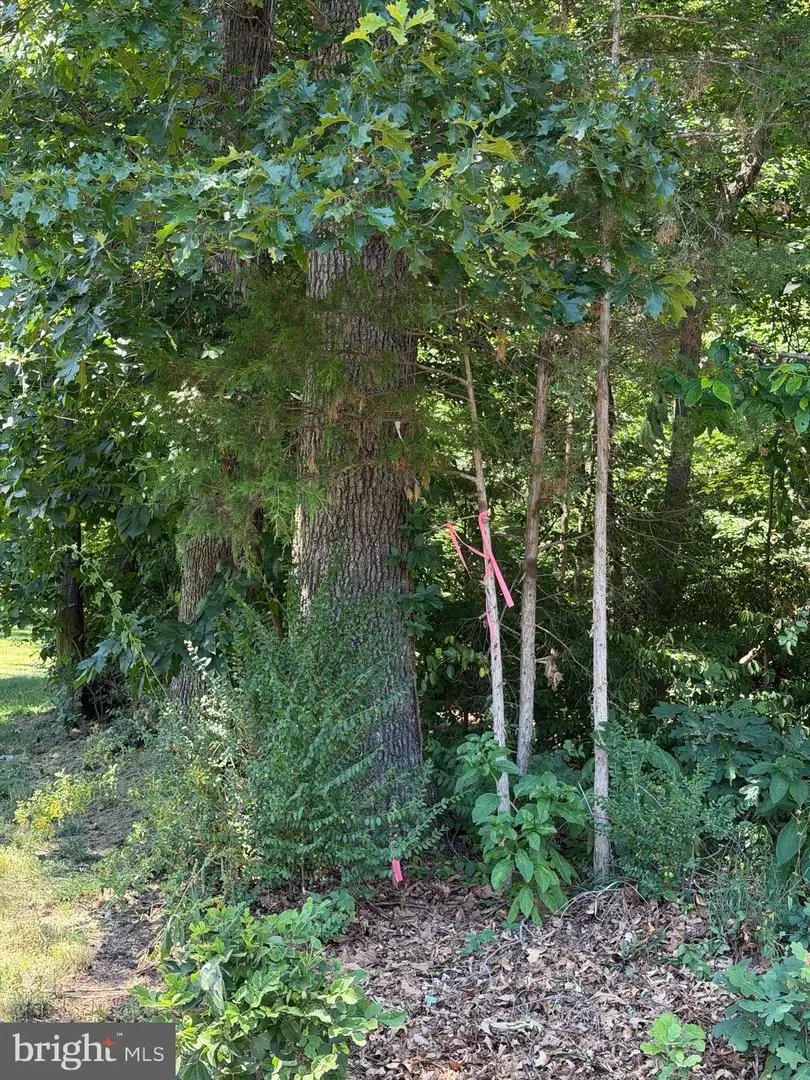 32 Cedar Dr, Sterling, VA 20164 - #2