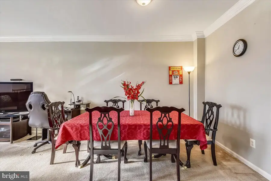42223 Terrazzo Ter, Aldie, VA 20105 - #3