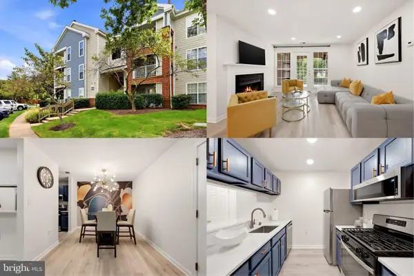 21012 Timber Ridge Ter #204, ASHBURN, VA 20147
