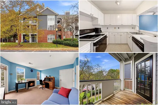 20330 Beechwood Ter #201, ASHBURN, VA 20147