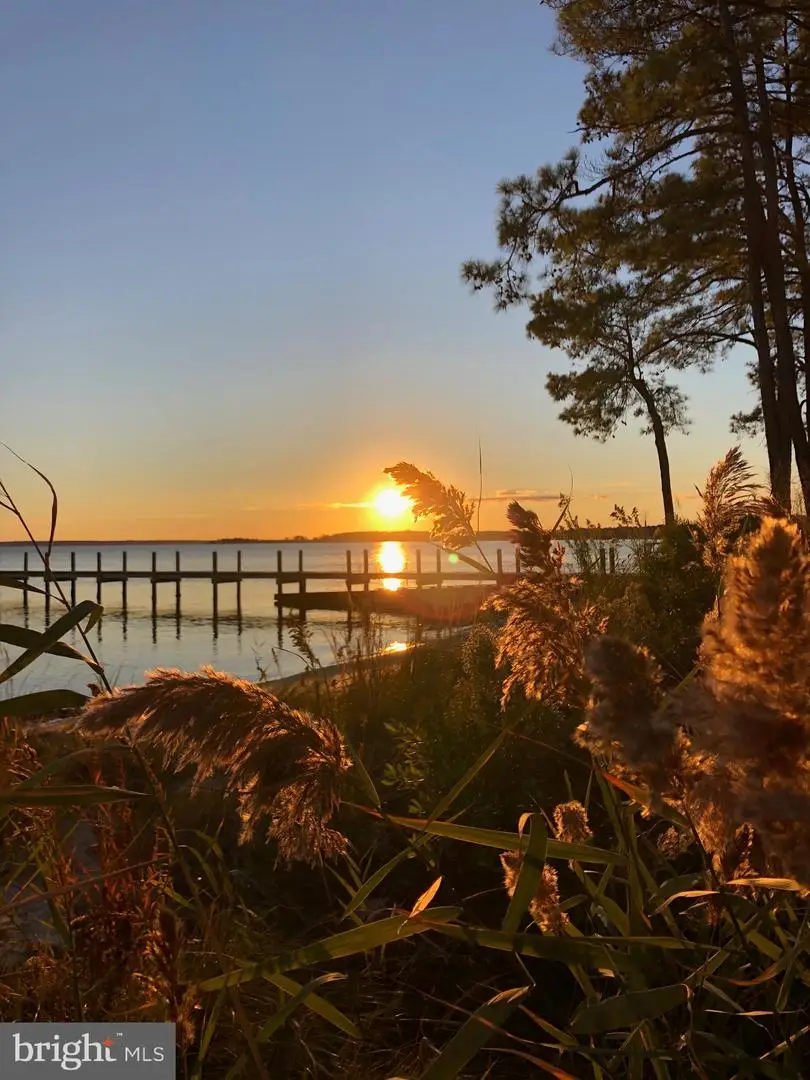 95 Starfish Lane, White Stone, VA 22578 - #2