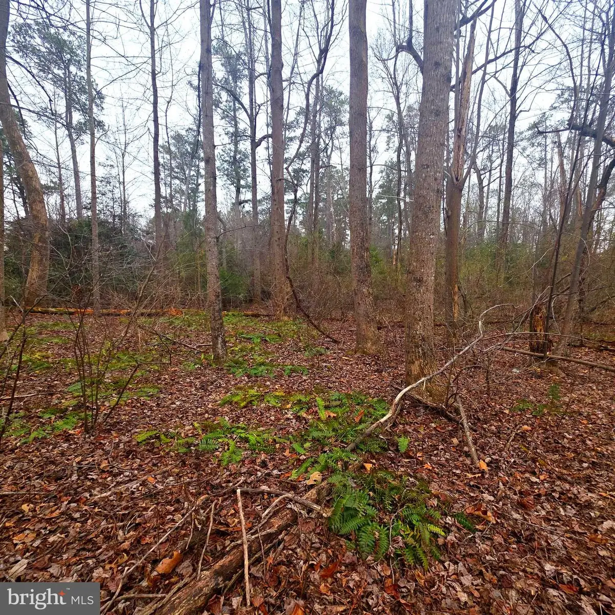 W Highview Dr Lot 134, Lancaster, VA 22503 - Image #1