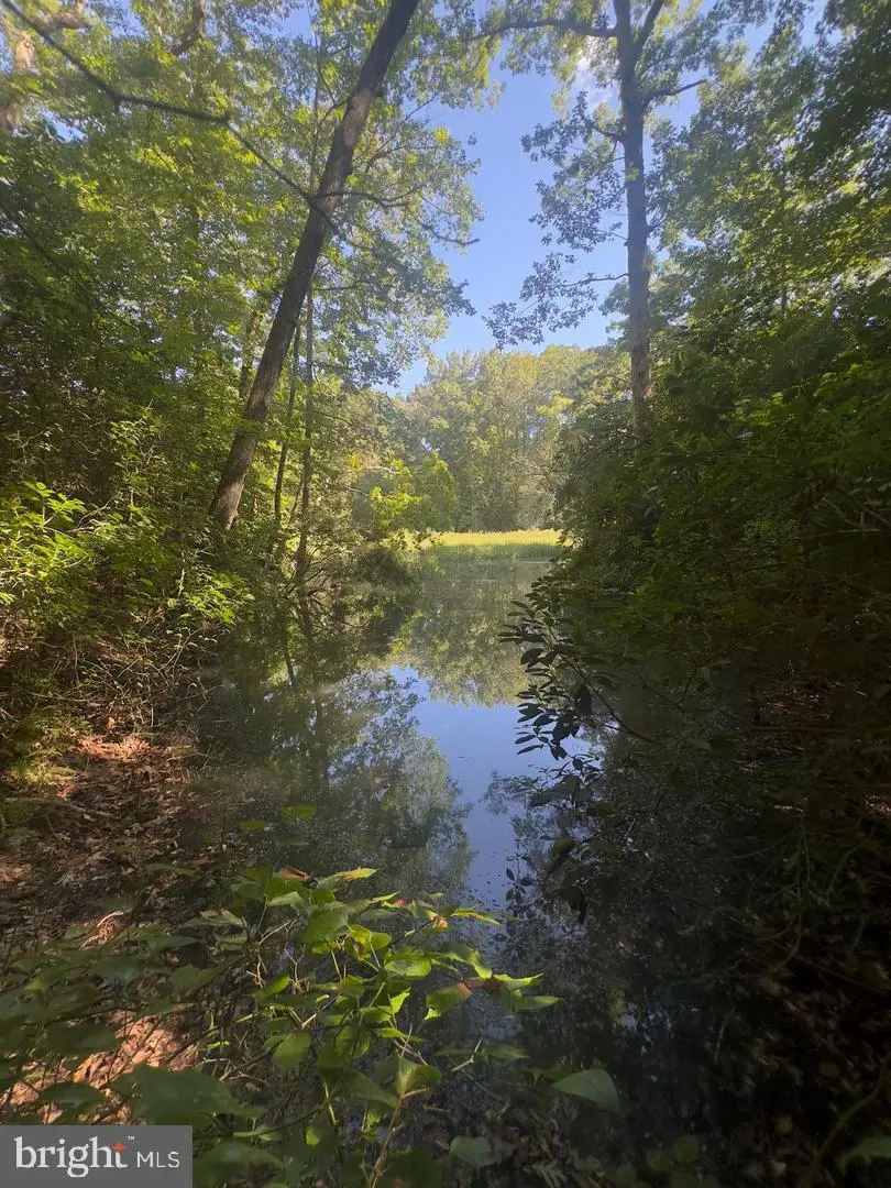 27 102b Beechwood Drive, Weems, VA 22576 - #2