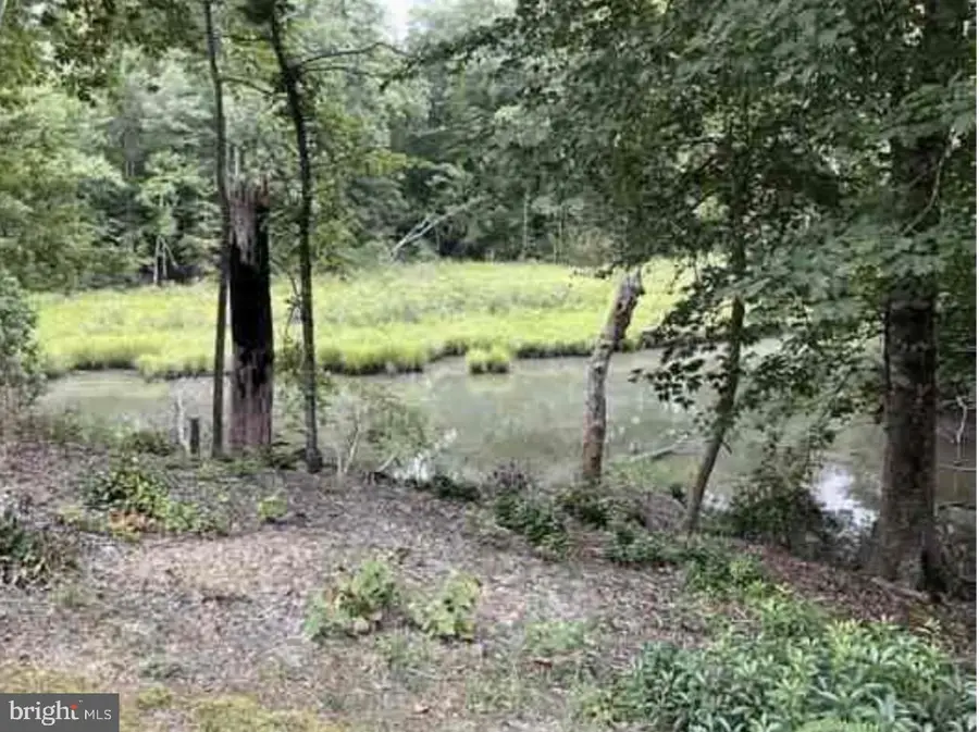 27 102b Beechwood Drive, Weems, VA 22576 - #3