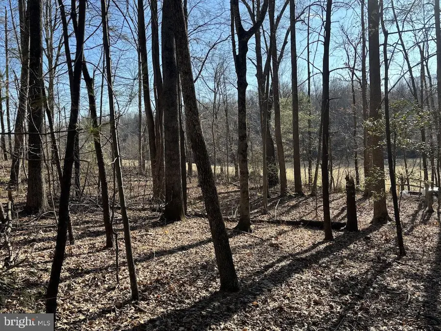 Tbd Duet Road, Madison, VA 22727 - Image #2