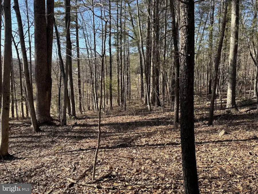 Tbd Duet Road, Madison, VA 22727 - Image #3