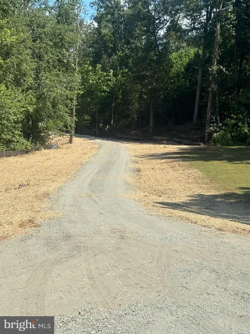 00-tbd W Hoover, Madison, VA 22727 - Image #1