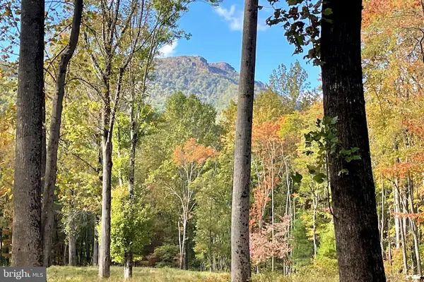 0 Pine Hill, SPERRYVILLE, VA 22740