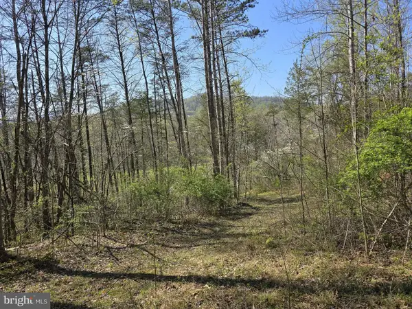 Lot 1 S Ft Valley Rd, MADISON, VA 22727