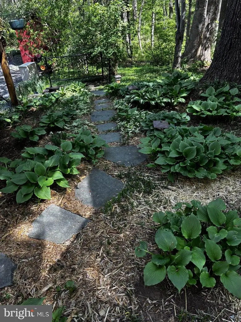 5060 Ridgeview Rd, Reva, VA 22735 - #3