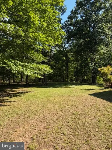 804 Buggy, Rochelle, VA 22738 - #3