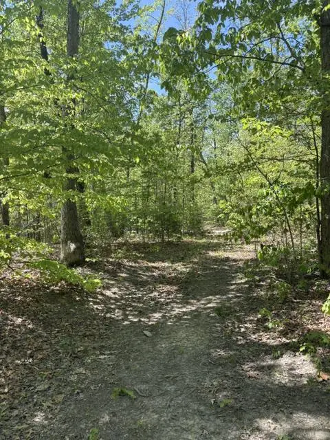 Davis Ln, Aroda, VA 22709 - #1