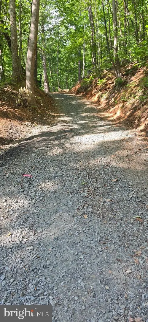 Beahm Town Rd, Culpeper, VA 22701 - #3