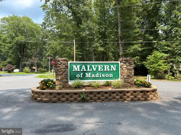 60 Bee Gum Way, MADISON, VA 22727