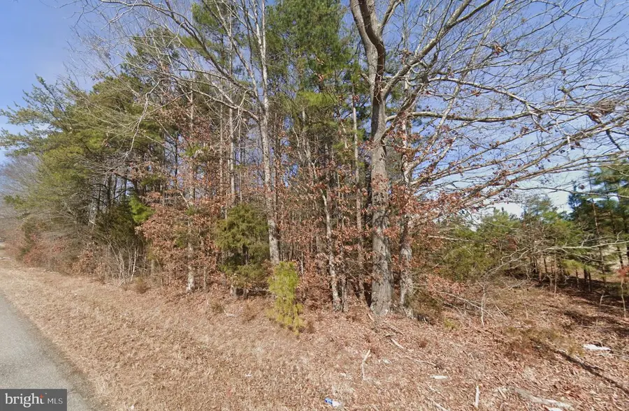 255 Tabernacle Rd, Buffalo Junction, VA 24529 - #2