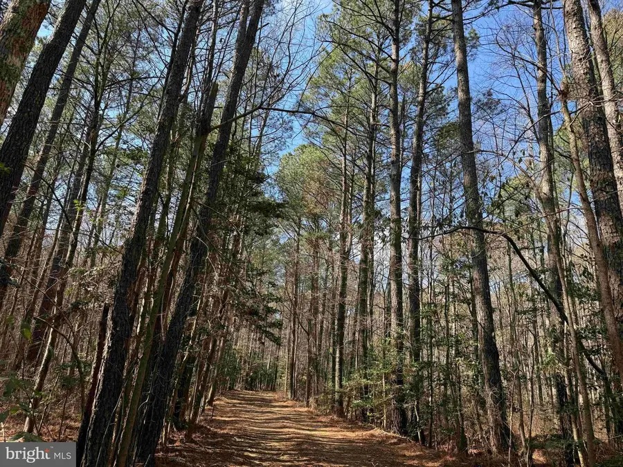 Off Rt. 14 (tract Tanager Et2-2031), North, VA 23128 - #3