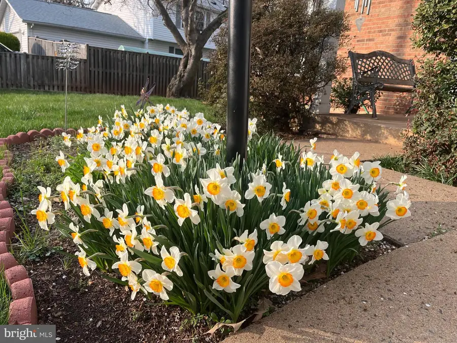 10103 Trinity Ln, Manassas, VA 20110 - #2