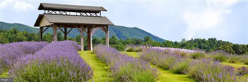 3899 Eakin Farm Road, Blacksburg, VA 24060 - #3