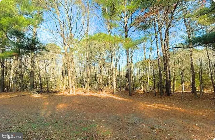 Lot 18 Peaceful Way, Exmore, VA 23350 - Image #3