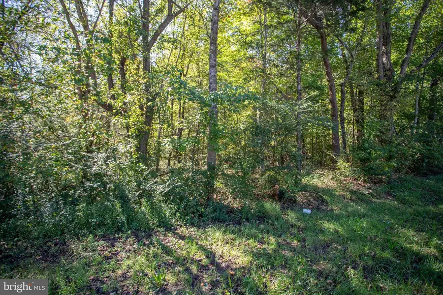 Tbd Richmond Hwy #1, Gladstone, VA 24553 - Image #3