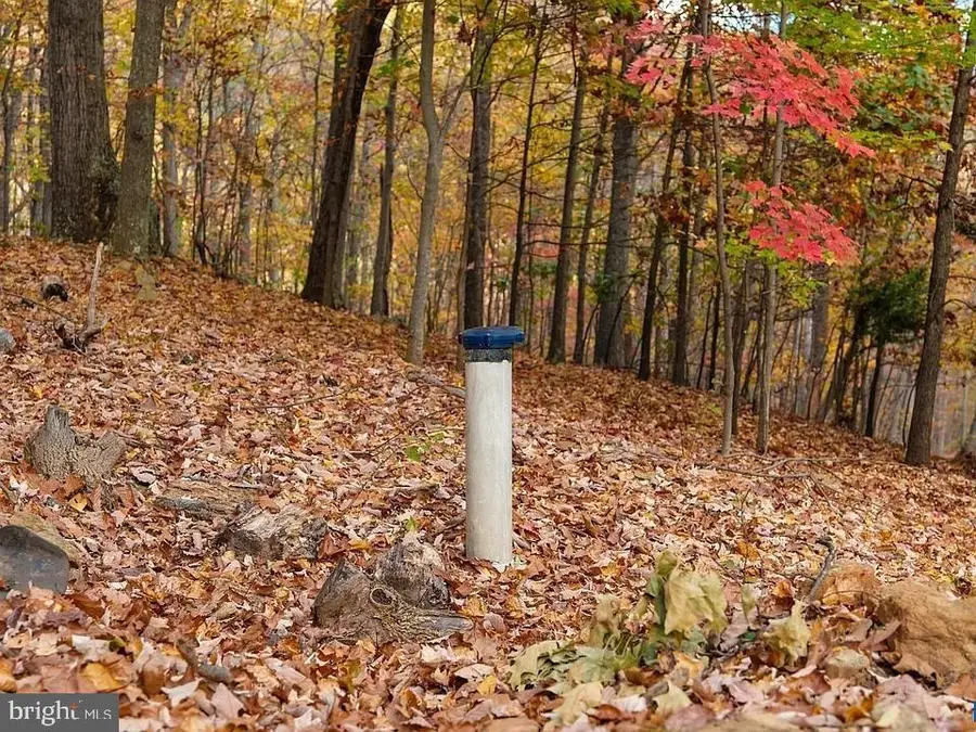 Lot 42 Treehouse Pl, Nellysford, VA 22958 - #2