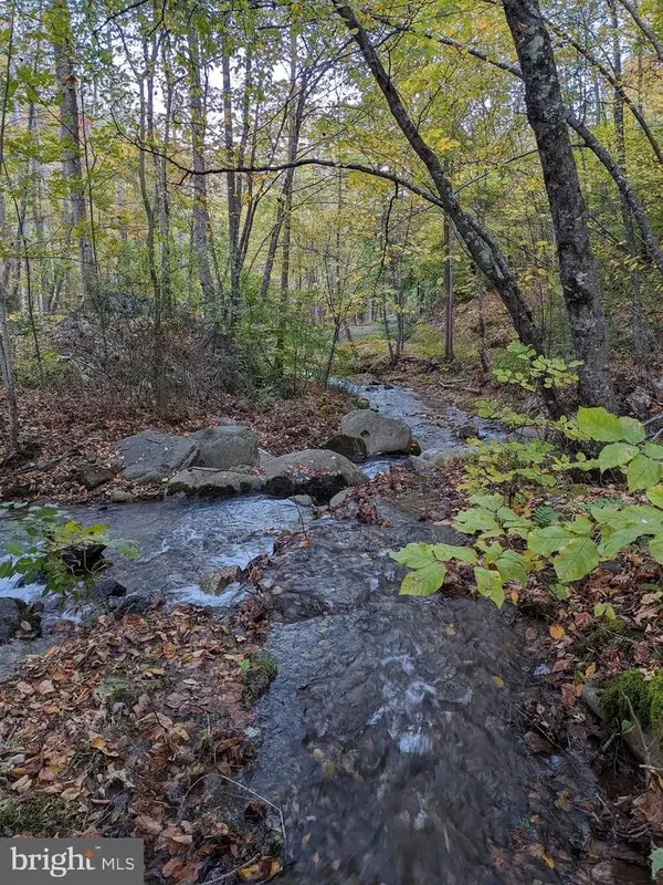 Tbd Perry Lane, LOVINGSTON, VA 22949