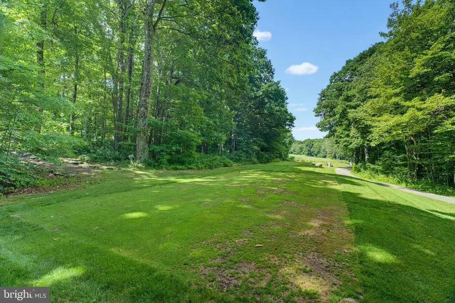 52 Deer Springs Ln, Roseland, VA 22967 - #3