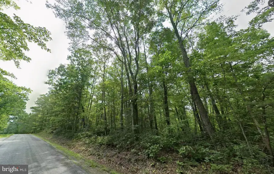 0 Laurel Rd, Shipman, VA 22971 - #3