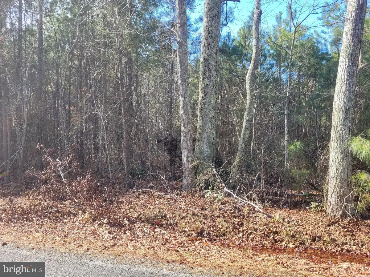 00e Bogey Neck Rd, Heathsville, VA 22473 - Image #1