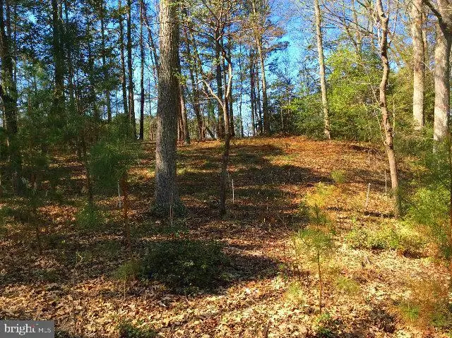 Lot 87 Steamboat Ln, Heathsville, VA 22473 - Image #3