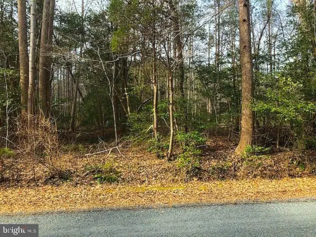 Lot 62 Knights Landing Dr, Heathsville, VA 22473 - Image #1