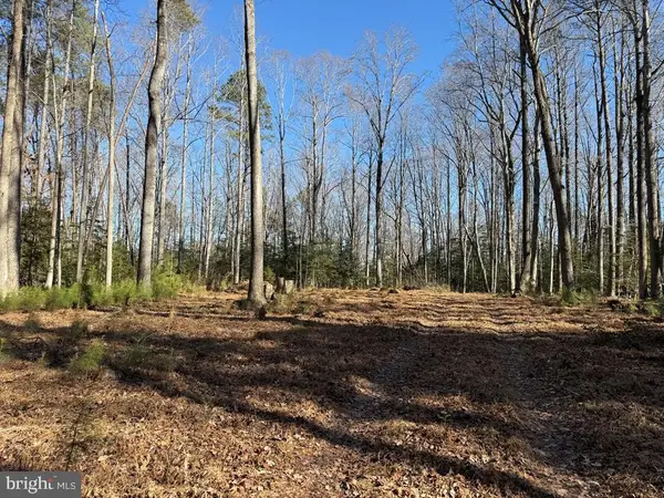 Lot 114 Bogey Neck Rd, HEATHSVILLE, VA 22473