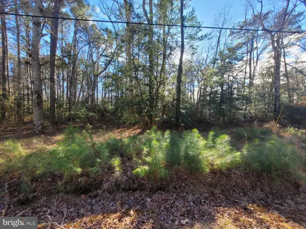 Lot 82 Elmington Place, HEATHSVILLE, VA 22473