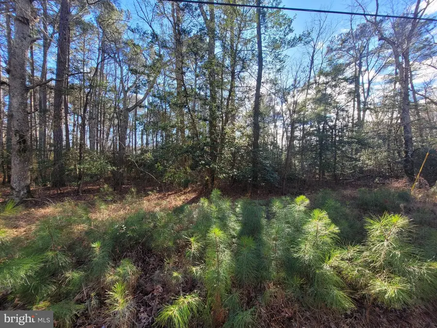 Lot 82 Elmington Place, Heathsville, VA 22473 - Image #3
