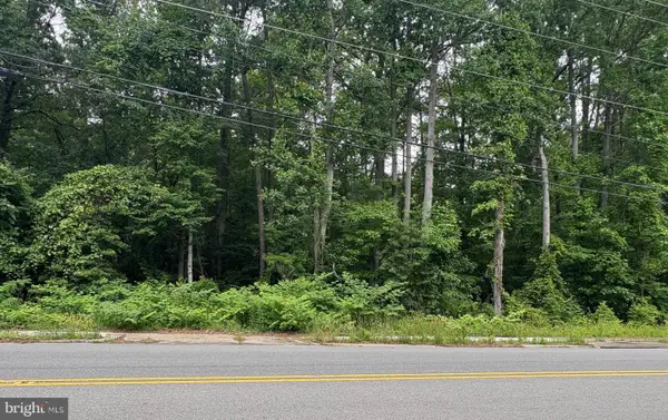 0 Jessie Dupont Memorial Hwy, HEATHSVILLE, VA 22473