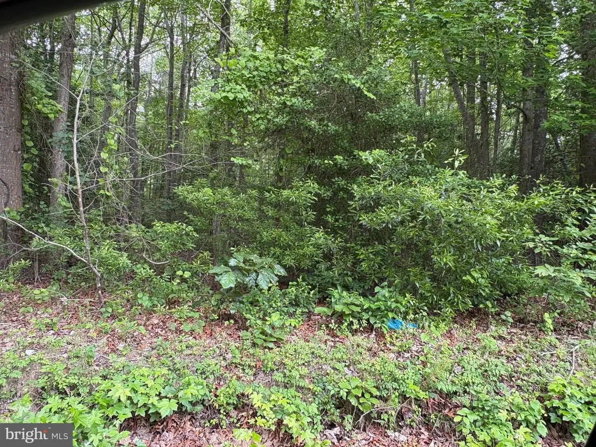 00 Bogey Neck Rd #43-1-2a, Heathsville, VA 22473 - #1