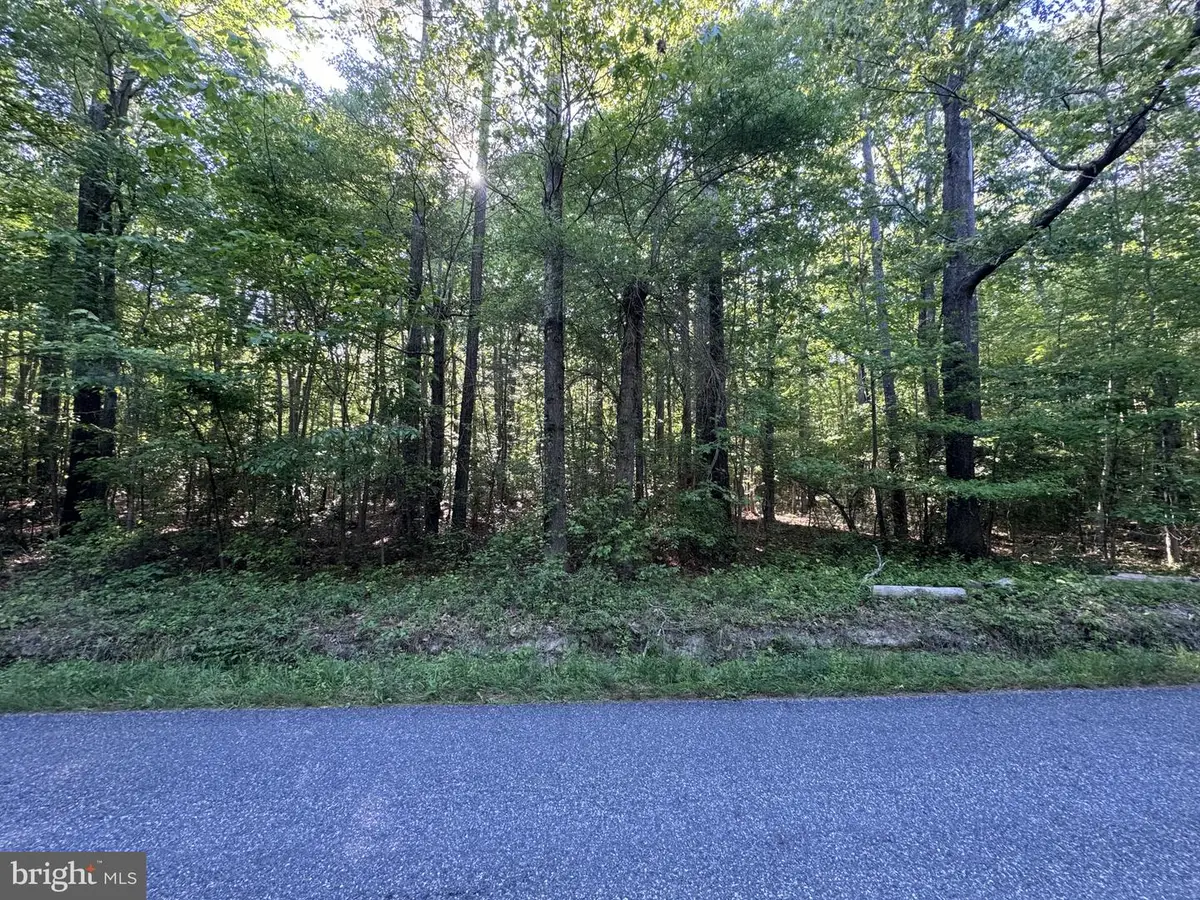 Apple Grove Rd, Kilmarnock, VA 22482 - #1
