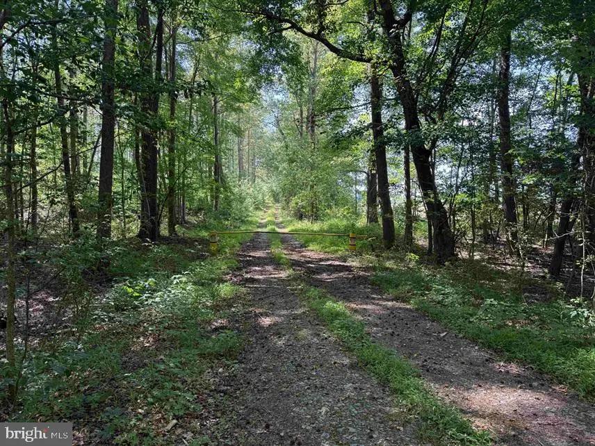 Dodlyt Road (tract: Bk2932), Heathsville, VA 22473 - #1