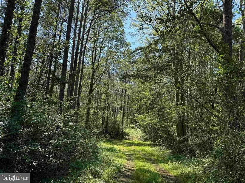 Dodlyt Road (tract: Bk2932), Heathsville, VA 22473 - #2