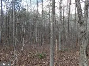 Blair Rd, Orange, VA 22960 - Image #1