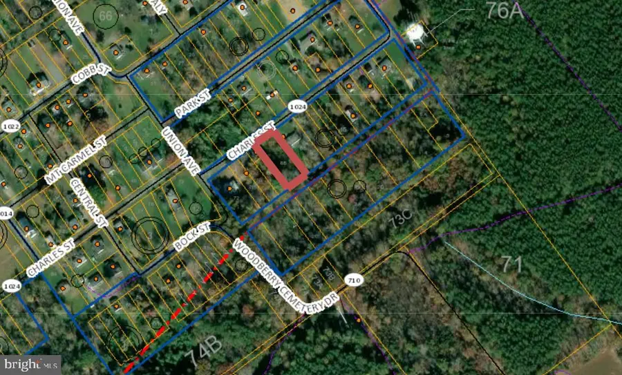 Charles St, Gordonsville, VA 22942 - Image #3