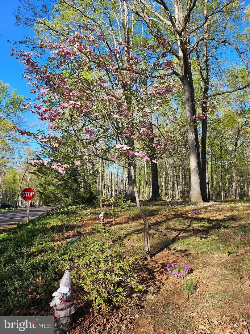 201 Washington St, Locust Grove, VA 22508 - Image #2