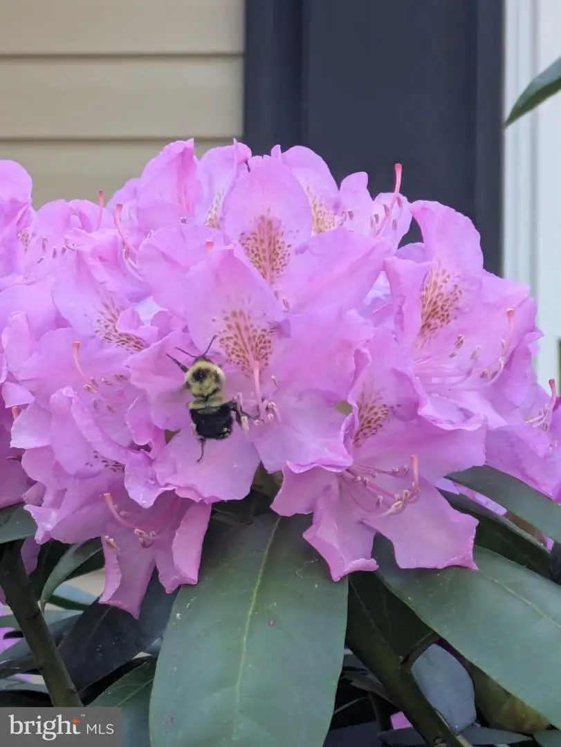 210 Saylers Creek Rd, Locust Grove, VA 22508 - Image #3