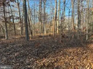 201 Cumberland Cir, Locust Grove, VA 22508 - #2